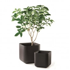 CURVER. Ghiveci imitatie lemn CUBE PLANTER L , mar..